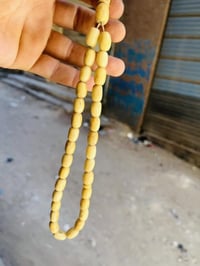 عضم • قديم جداً