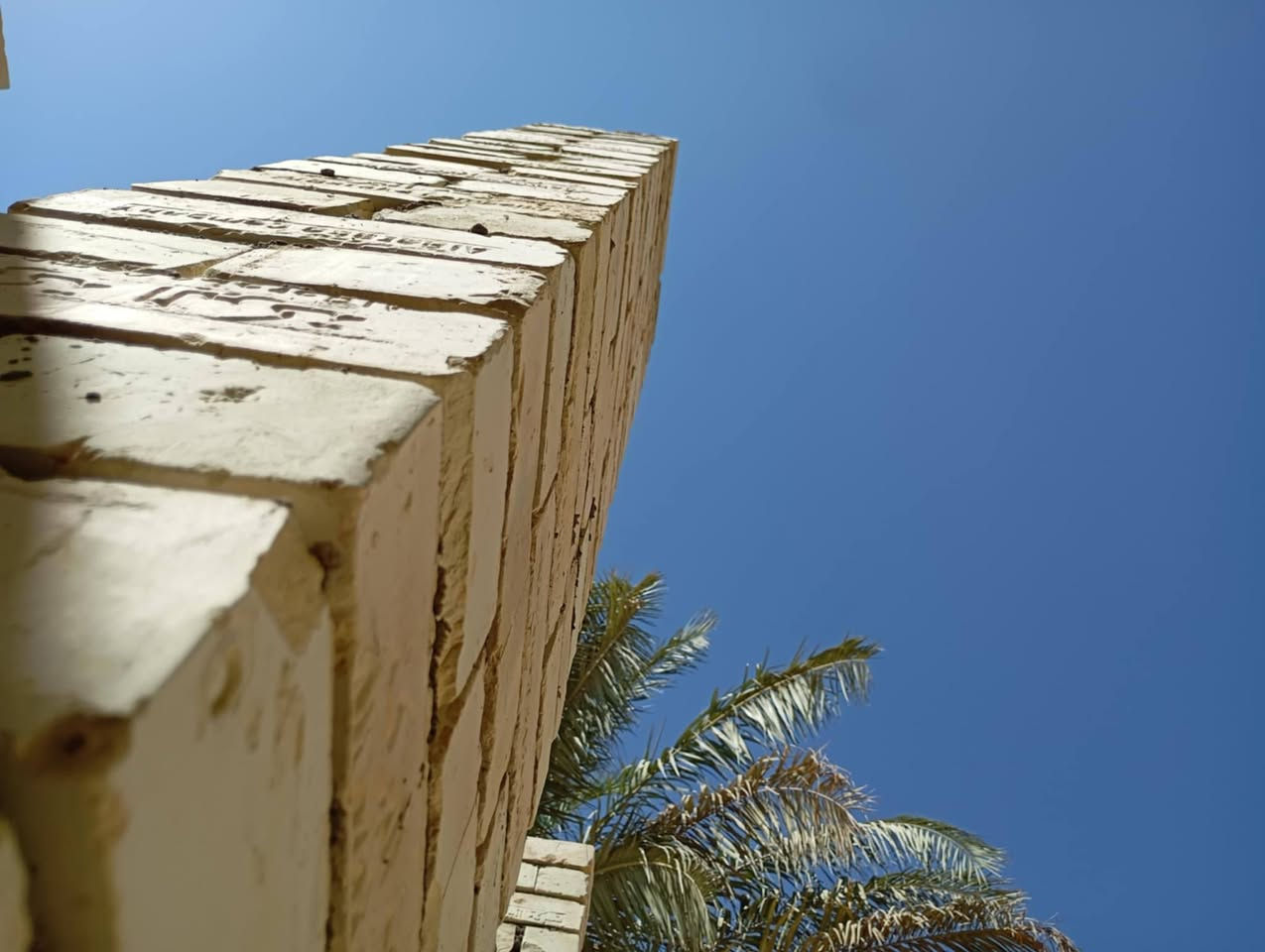 السلام عليكم خلفات   بناء كادر عمل نشتغل قطعي وعل السكس  شغل نضيف التزام بل المواعيد   اتصل وتتدلل داخل كربله
***********
***********
