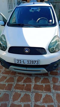 شيري باندا • ٢٠١٣ • بدون صبغ