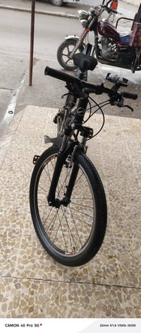 بازكل • لويز