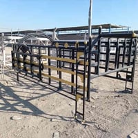 محجر جديد • بابل