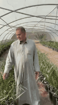 فسائل البرحي • فسائل المجهول • الحلة بابل