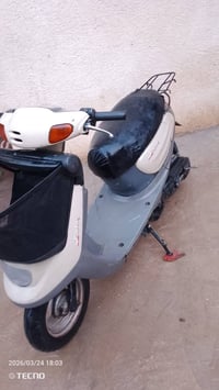 منغولي • سلف • محرك ناعم