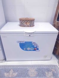 مجمده • نظيفه • تجميد فول