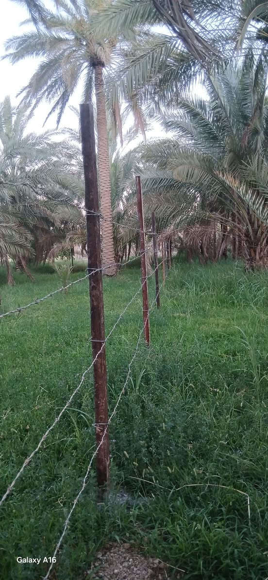 سلام عليكم /يوجد كادر عمل الاسيجه واي عمل اخر. لاستفسار اتصال على الررقم. *********** بي واتساب
