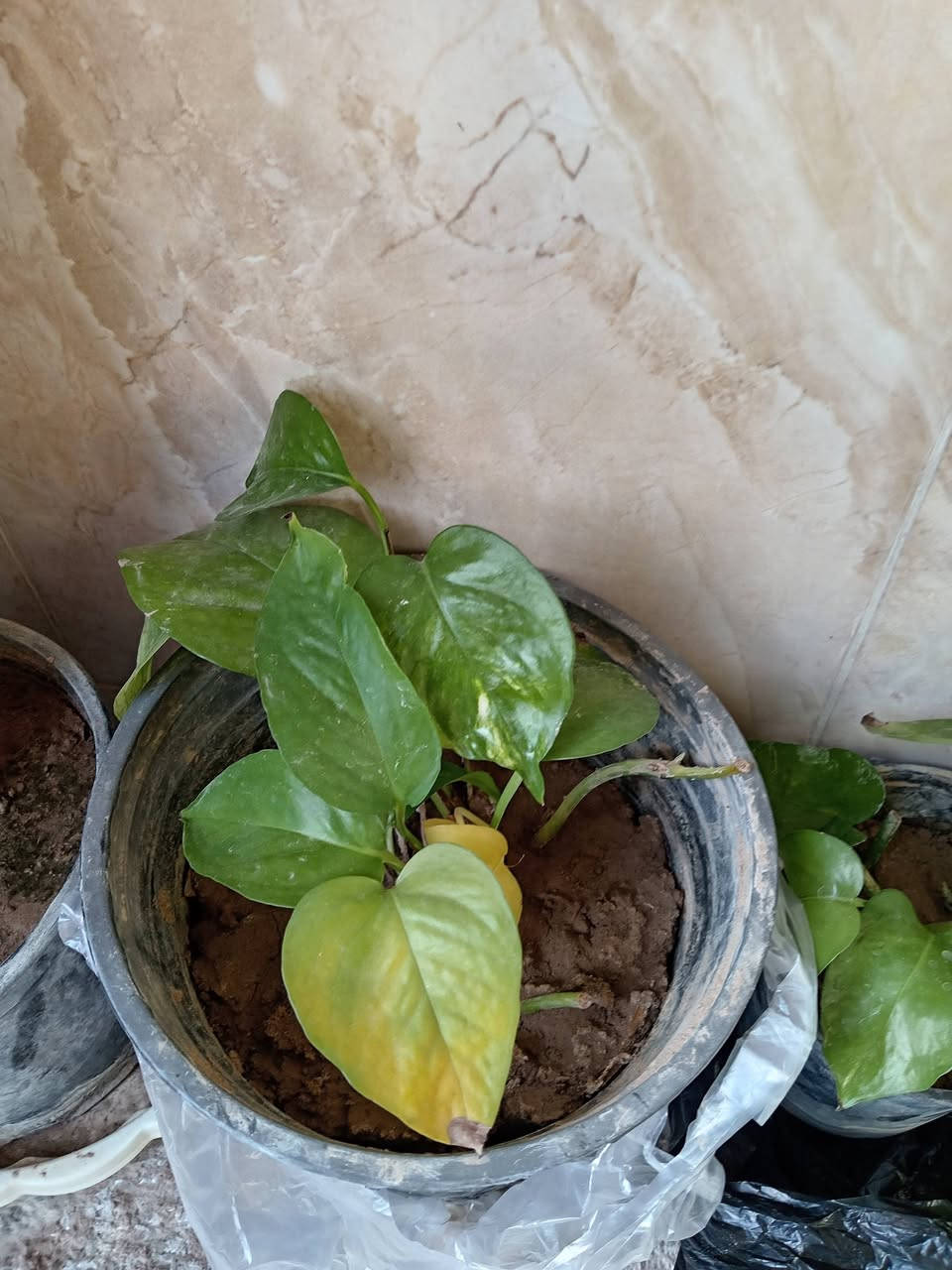 ئەم نازدارانە بۆ فرۆشتن


**إذا كنت صاحب هذا الإعلان وتريد حذفه لأي سبب، رجاءا أرسل رسالة إلى الدعم الفني**