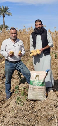 هيومك سلوفاكي • زيادة ١٥٪ • ٧ طن/دونم