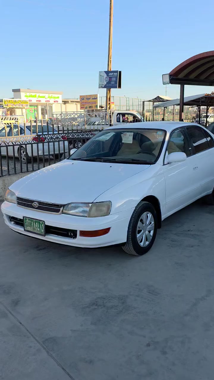 السلام عليكم،، 
السعر 48نقد يرهم مراوس حسب القناعه معرض الشهيد ابوزوبع الخفاجي اسمع الفيديو للتوضيح 
***********
