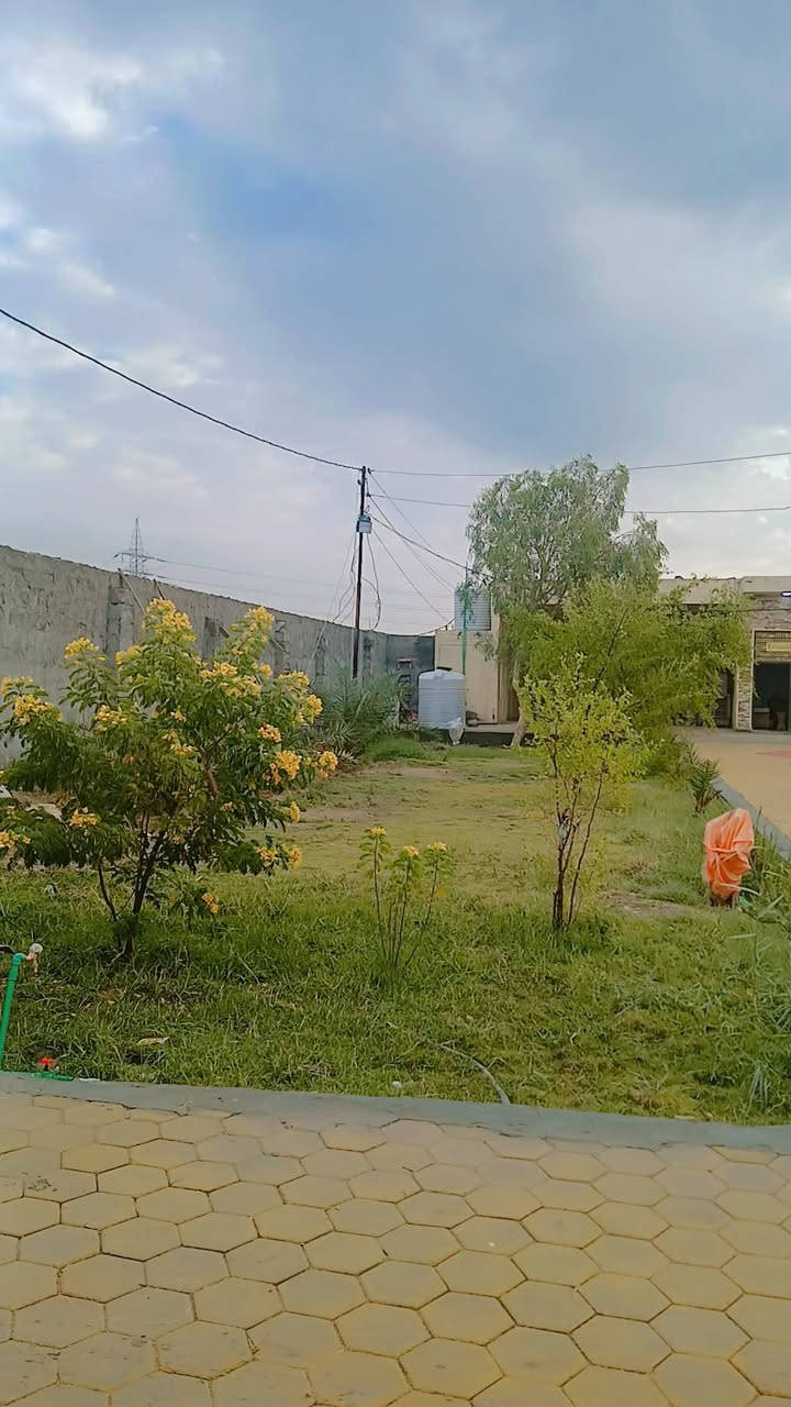 2000 متر للبيع كربلاء الرابط طابو زراعي سند باسمك بيها دارين وبيها مضيف بيت 200م والثاني 140 والمضيف 17 متر مع طارمه 8م وصحيات خدمات كامله مولد وطني مدارس ماء اسأله للستفسار ***********
