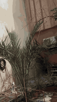 بوليسي. بلاد  كلشي عل بلاد نوزل تزويد خارجي مفتوحه ولفات فقط سعر800 مكينه خرسه كلشي شغل مابيه نقص مكاني بصره ابي لخصيب وتسابي ***********
