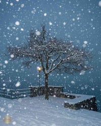 مراجعة مركزة لنصف السنة لمدة عشرة ايام قواعد واملاء للصفوف الاول والثا...