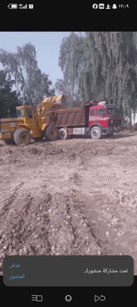 البي البيع او مروس حسب بس الراس 07801567093
