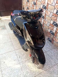 سكنس نثية • زنجيل • ١٧٥