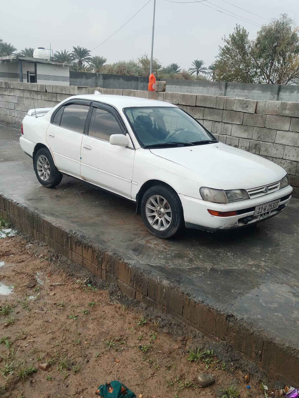 كورولا موديل ٩٣ رقم دولي بغداد بااسمي تحويل ثاني يوم تحوير إماراتي دشبول اصلي صبغ في بعض الإماكن السعر ٥٥ سياره جهازه تدفئه وتبريد اناره داخليه كهربائيات شغاله كله الاتصال على الرقم ***********
