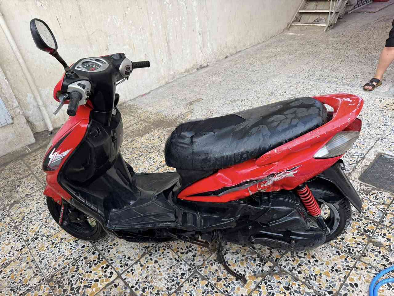 للبيع سكنس نثيه
بغداد القادسيه شغاله سلف هندر 
***********
