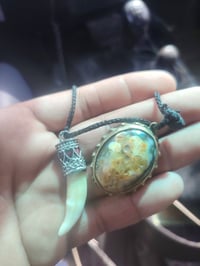 أصليات • قيم