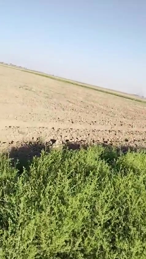للبيع للبيع
٥ دونم طابو زراعي سند ٢٥ تحويل بسم المشتري خدمات كاملة ماء سقي وكهرباء ارض درجة اولئ تصلح سكن او زراعه او استثمار ع طابوبعقوبة 
الواجهه ٦٠
نزال ٢١٠
العنوان طريق محمد سكران خان بني سعد قرية التاميم
للاستفسار مكتب الواحة للوساطة العقارية ***********

