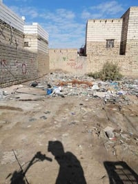 البطاط • قطعة زراعي • ٢٠٨م
