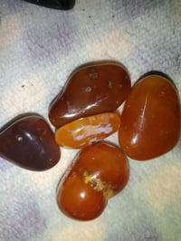 للبيع • اخرى