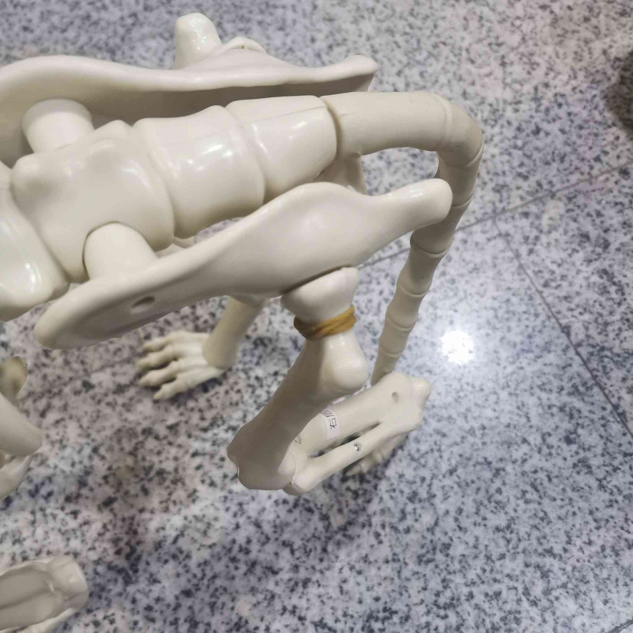 أجلكم الله هيكل عظمي كلب عظم عاج مو بلاستك حجمه عرض 45 سم وارتفاع 28 سم اجاني جديد بس بي ضرر رجل مكسورة بس عادي تشكل يحتاج صمغ لها او مثبت برغي يرجع تمام سعره 20 الف يسوه اكثر بس لان بي ضرر


**إذا كنت صاحب هذا الإعلان وتريد حذفه لأي سبب، رجاءا أرسل رسالة إلى الدعم الفني**