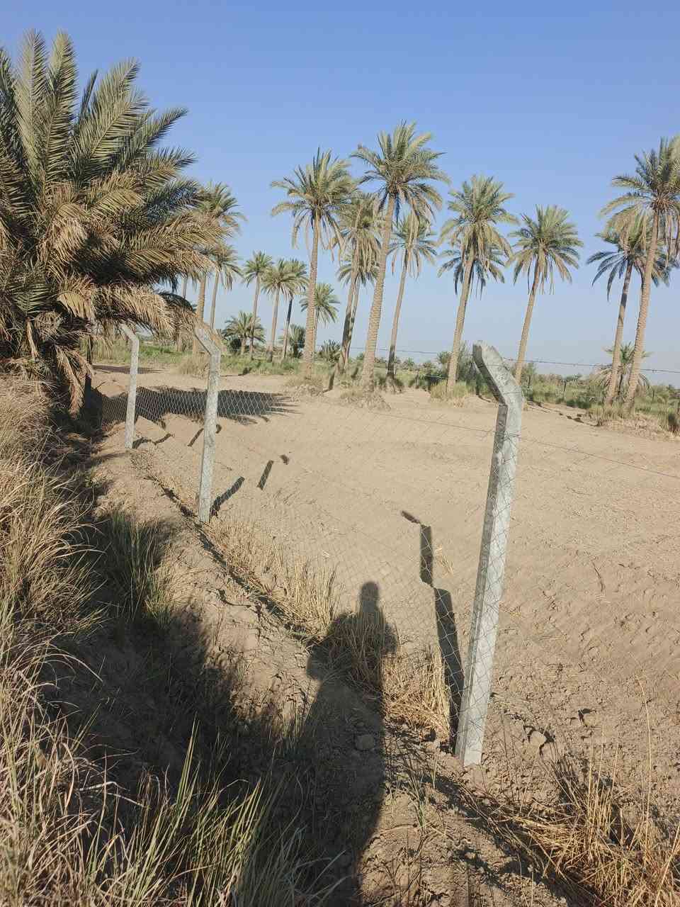 اسلام عليكم دونم ونص لبيع
طابو زراعي سند 25 الواجه 40متر
مكان الرض الدسميه مسيج بل كامل وجهيه عل بزل فرعي
سعره 60 وبي مجال اتصال ع ***********            ***********
