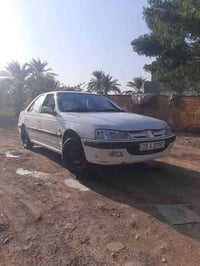 بيجو بارص • ٢٠١٣ • بابل الحمزه الغربي