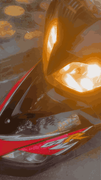 دراجه ثعلب للبيع صار سبوع من منزلها من رمبه اوراق اصولي وكلشي لوك لسعر...