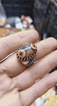 سلام عليكم سليماني عينتين نوادر سعر /175
***********
