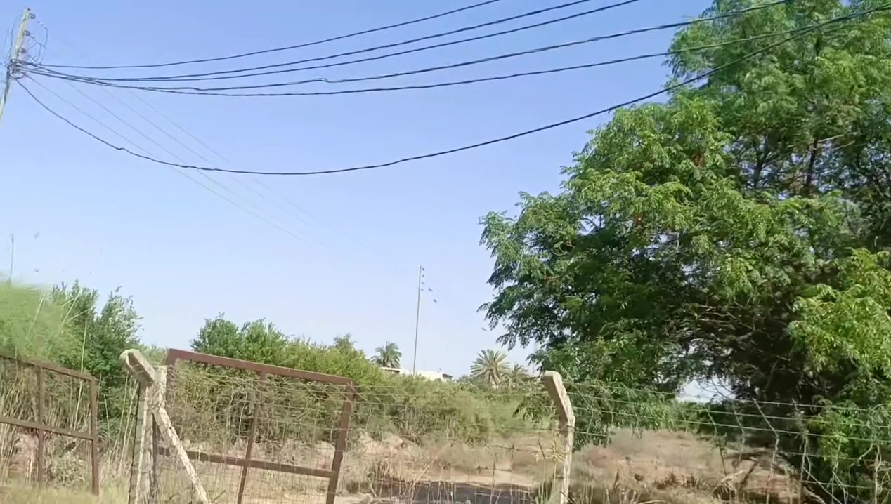 بستان للبيع دونم تحويل مباشر الموقع مدخل اثنين قرب شارع الرئيسي للاستفسار على الرقم***********
