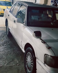 ارنب للبيع ٣٨ وبيها مجال استفسار اتصل واتساب وشريحه  07767403718