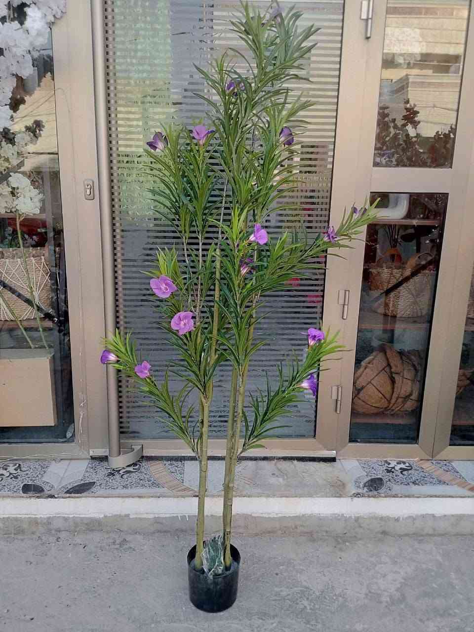 مجموعة نباتات مميزة وجذابة تخلي المكان يجنن 😍
متجر #سعفة
موقعنا هيت شارع حي الجمعية الاولى خلف المركز الصحي
متواجدين يوميا من الساعة 3 عصرا حتى الساعة 11 ليلا
خدمة التوصيل لجميع مناطق العراق 🚕


**إذا كنت صاحب هذا الإعلان وتريد حذفه لأي سبب، رجاءا أرسل رسالة إلى الدعم الفني**
