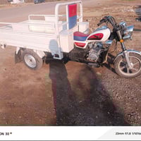 ستوته ام طير • موديل ٢٠٢٥ • ديالى الخالص