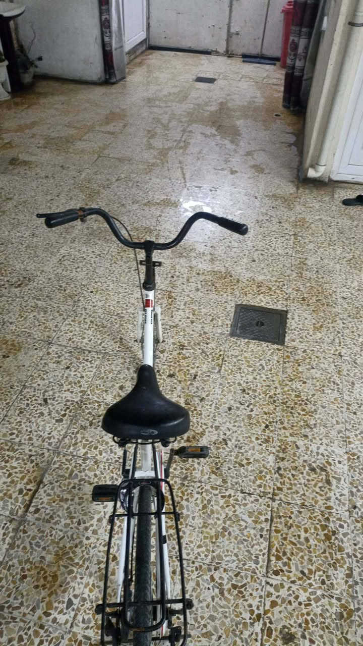 مروس ويه ماطور تفصيل خاص


**إذا كنت صاحب هذا الإعلان وتريد حذفه لأي سبب، رجاءا أرسل رسالة إلى الدعم الفني**