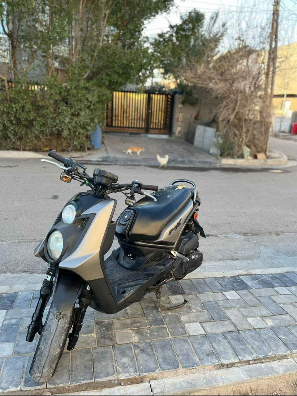 سكنس جبلي الفين ورباطعش مكفوله كفاله عامه ودراجه مال جناي مكاني بغداد ***********
