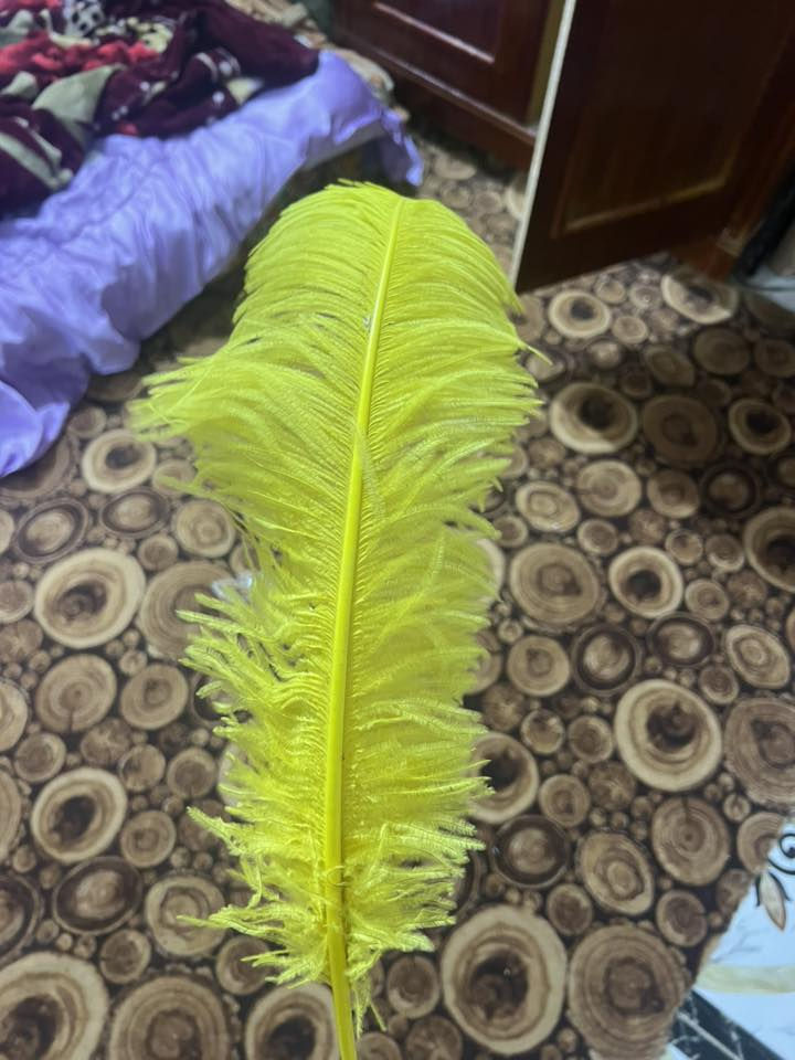 السلام عليكم ريشة سعرها 5 تلاف فقط


**إذا كنت صاحب هذا الإعلان وتريد حذفه لأي سبب، رجاءا أرسل رسالة إلى الدعم الفني**