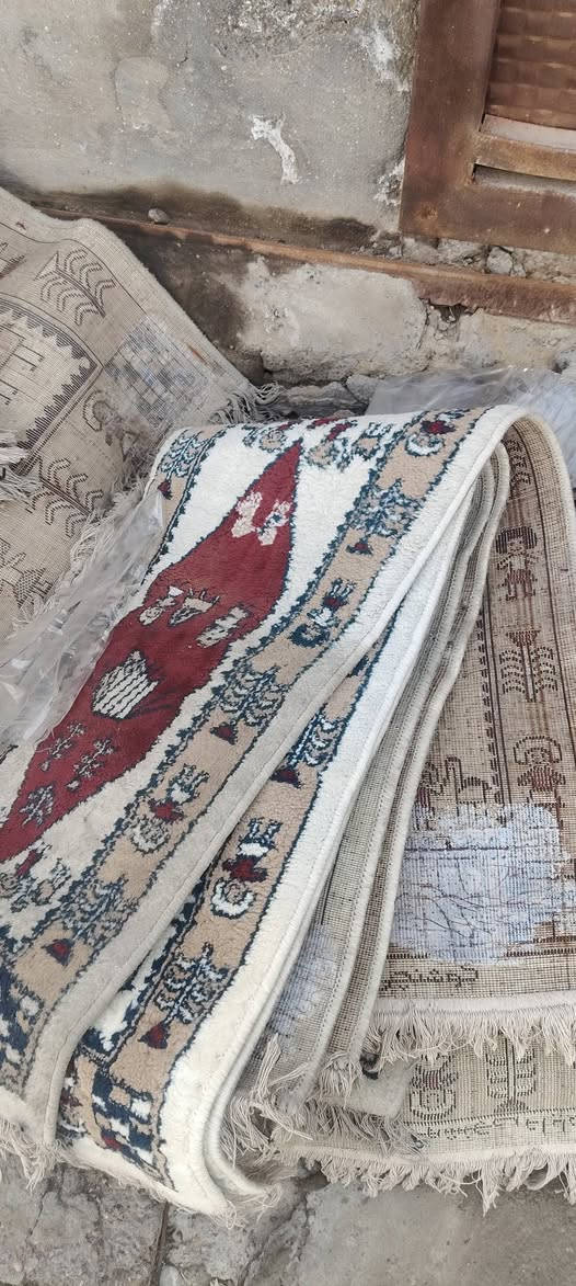 السلام عليكم
جودليات +نايلون+بردات 
تخم كامل مالات فختيه 30راكب
للبيع
***********
بغداد
