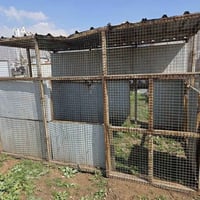 کولانە • ٣×٢×٢م • السليمانية