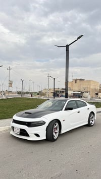 دايتونا RT5700 • مصلح ومصبوغ • رقم اربيل