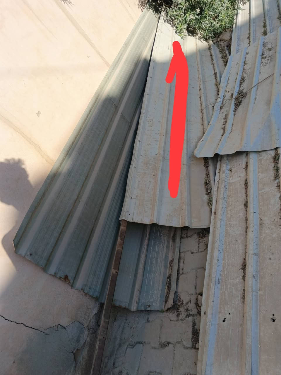 سلام عليكم جنكوه البيع يلي مرسوم عليه بل لون الاحمر هاي الزغيره جانت مربوطه بيهه بهاي الشخاطه يلي طالعه من الحنوكه قياسه تقريبن لو 8 مترات لو 7 السعر 35 مكاني كربلاء سيف سعد فرع جامع كربلاء


**إذا كنت صاحب هذا الإعلان وتريد حذفه لأي سبب، رجاءا أرسل رسالة إلى الدعم الفني**