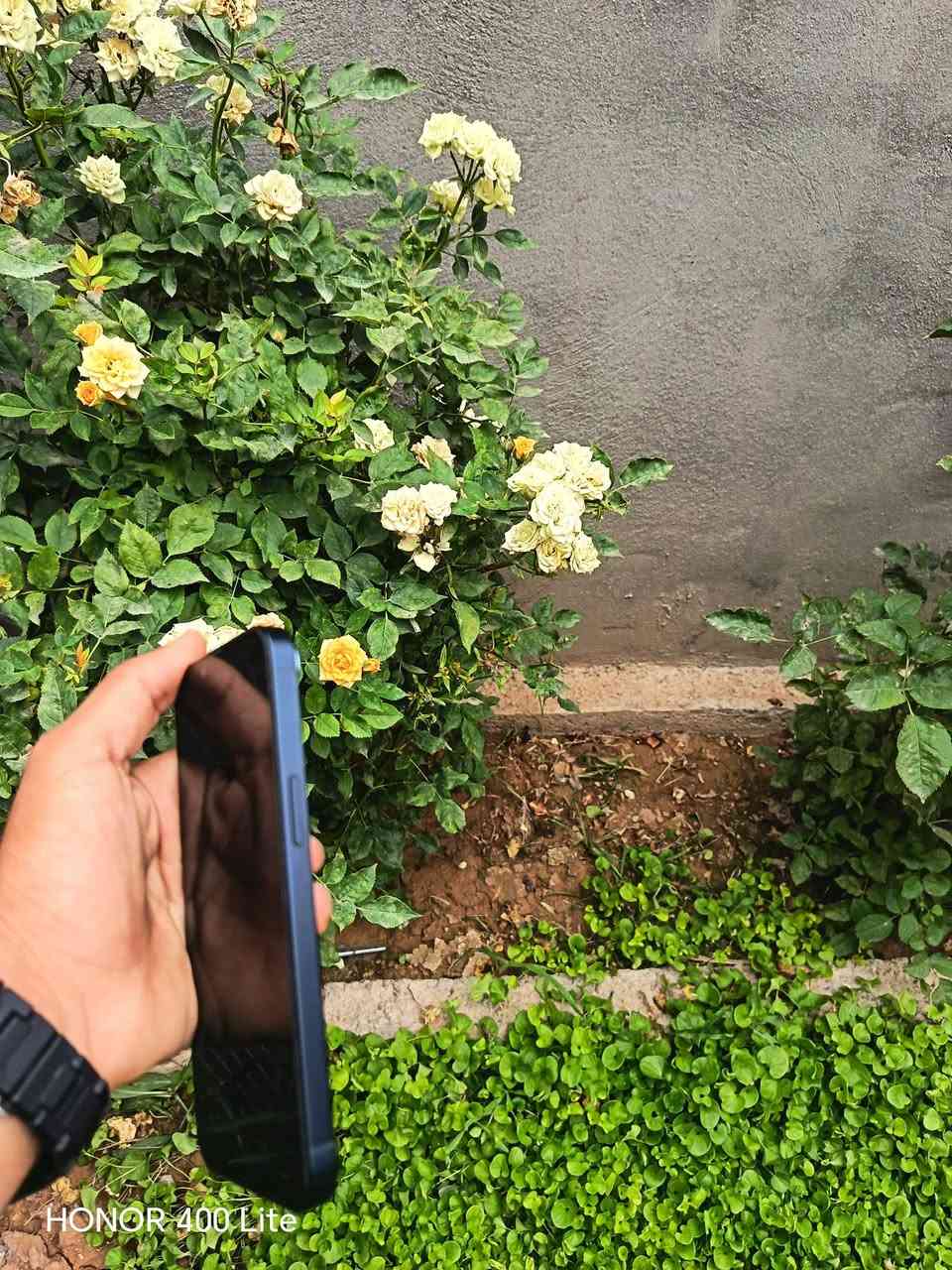 الصور تحجي والنظافه دايما lphone 13 مكاني كركوك حويجه جهاز مامضروب برقي ابد بعد حاله وكاله ***********.
