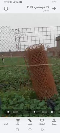 سيم مال غنم • ٢٠م×١٨٠سم • مفرق شرقاط