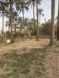 بعقوبة شفته • 300م • ماء وكهرباء