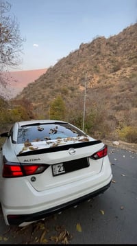 التيما • ٢٠١٩ • سوران