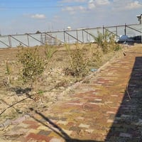 مزرعه • خلف حي الجامعة • ١٠٠٠م