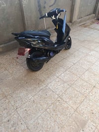 بوشه 50 • مفتوحه • شغاله