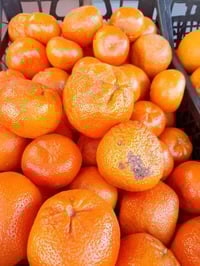 خضرة • فواكه • طماطة