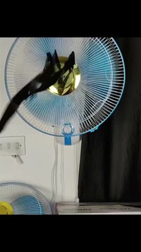 بنكه جداريه • ماركة شامي • قطعتين