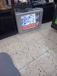 ابو الخبزه • مقاوم الظروف • مريح للعين