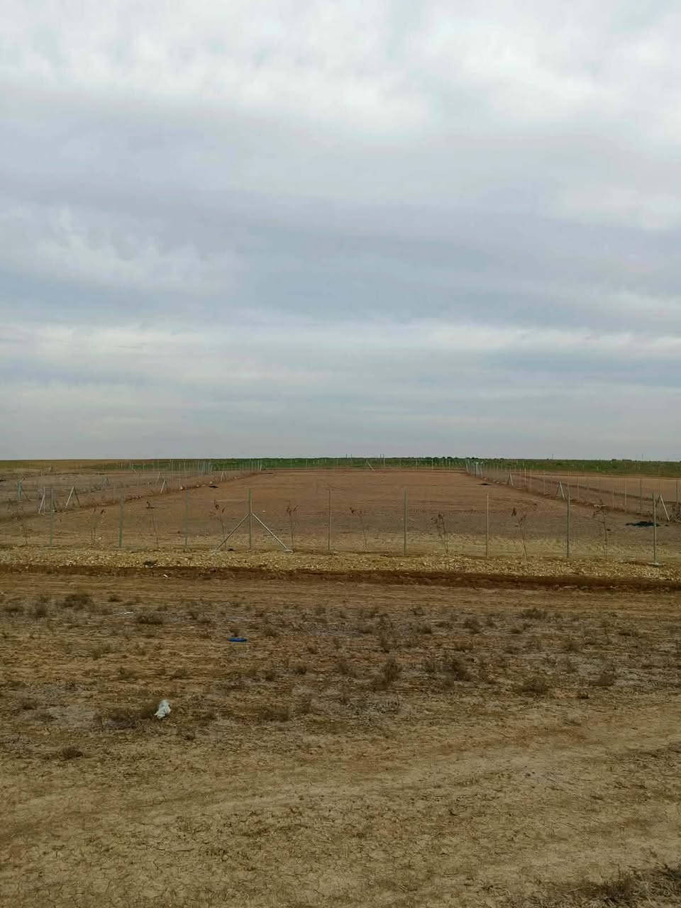 دونمين ونص مسيج بيارسي طريق دهوك خلف معمل غاز جورج على اربع افرع على عشره متر سند زراعي 25 حق التصرف تتكاتب ويا الشرعي سند جديد
سعر الدونم الواحد 30مليون ومجال قليل
***********
***********
