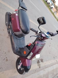 ماكس بوليس • مكفول • طويريج